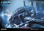Queen Alien Battle