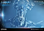 Queen Alien Battle