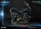 Queen Alien Battle