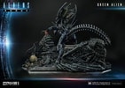 Queen Alien Battle
