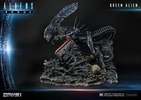 Queen Alien Battle