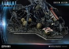 Queen Alien Battle