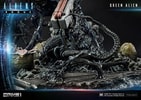 Queen Alien Battle
