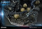 Queen Alien Battle