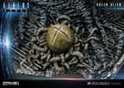 Queen Alien Battle