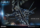 Queen Alien Battle