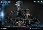 Queen Alien Battle