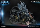 Queen Alien Battle