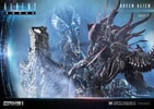 Queen Alien Battle
