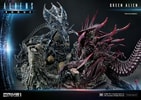 Queen Alien Battle