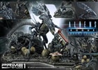 Queen Alien Battle
