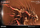 Rogue Alien Battle
