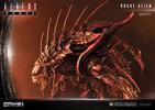 Rogue Alien Battle