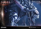Rogue Alien Battle