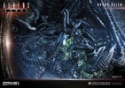 Rogue Alien Battle