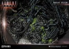 Rogue Alien Battle