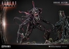 Rogue Alien Battle
