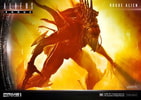 Rogue Alien Battle