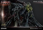 Rogue Alien Battle