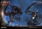 Rogue Alien Battle