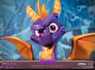 Spyro (Prototype Shown) View 12