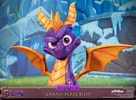 Spyro (Prototype Shown) View 15