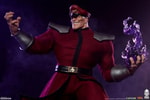 M. Bison