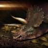 Sick Triceratops (Prototype Shown) View 1