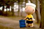 Charlie Brown- Prototype Shown