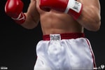 Italian Stallion View 16