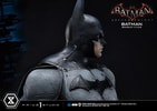 Batman Batsuit V 7.43
