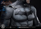 Batman Batsuit V 7.43 Collector Edition (Prototype Shown) View 12