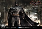 Batman Batsuit V 7.43 Collector Edition (Prototype Shown) View 2