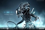 Alien Warrior Collector Edition (Prototype Shown) View 1