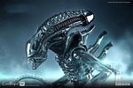 Alien Warrior Collector Edition (Prototype Shown) View 2