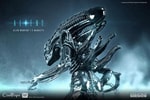 Alien Warrior Collector Edition (Prototype Shown) View 3