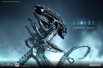 Alien Warrior Collector Edition (Prototype Shown) View 4