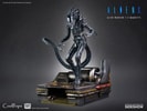 Alien Warrior Collector Edition (Prototype Shown) View 7