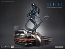 Alien Warrior Collector Edition (Prototype Shown) View 8