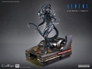Alien Warrior Collector Edition (Prototype Shown) View 10