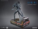 Alien Warrior Collector Edition (Prototype Shown) View 11