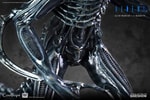 Alien Warrior Collector Edition (Prototype Shown) View 14