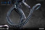 Alien Warrior Collector Edition (Prototype Shown) View 17