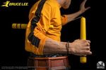 Bruce Lee (Prototype Shown) View 15