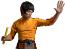 Bruce Lee (Prototype Shown) View 23