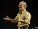 Stan Lee Pow! (Prototype Shown) View 8