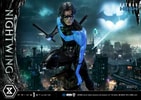 Nightwing Collector Edition - Prototype Shown