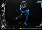 Nightwing Collector Edition - Prototype Shown