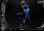 Nightwing Collector Edition - Prototype Shown