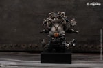 Steel Raccoon